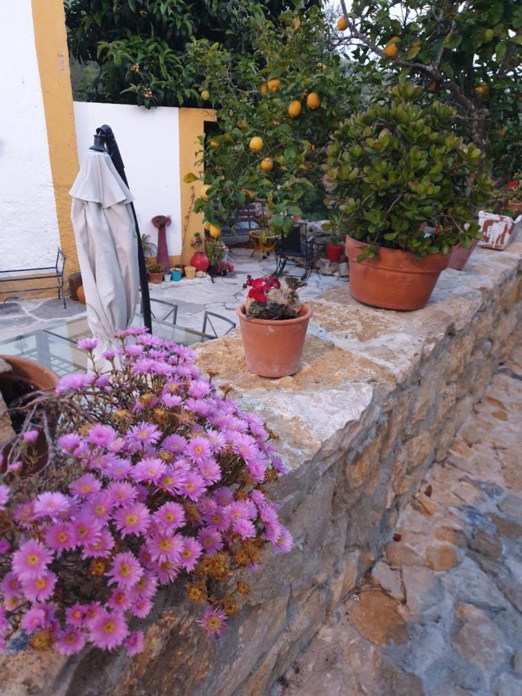 Casa Das Janelinhas - Cottage Near Sintra, Mafra, Ericeira Exterior photo